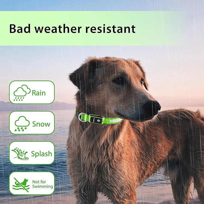 PcEoTllar Light up Dog Collar, Safe for Night Walking, Adjustable, Green, S | Colorful RGB Light, Waterproof, For Small Medium and Large Dogs, Durable Material, USB to Charge - Image 5