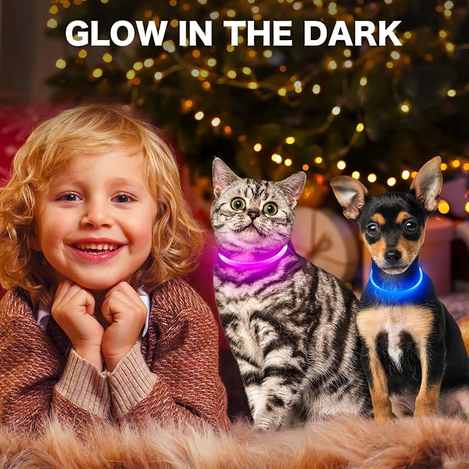 Light Up Dog Collar, High Visibility LED Dog Collar Rechargeable- Rainproof TPU Cuttable Glowing Pet Collar for Small Dogs & Cats - Puppy Safety Lights for Night Walking (XS- Blue 40cm) - Image 7