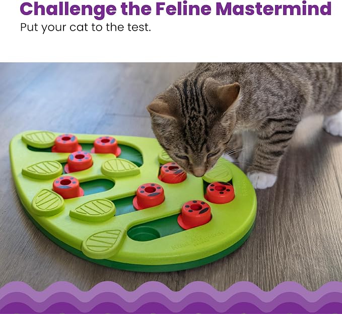 Catstages Nina Ottosson Buggin’ Out Puzzle & Play Cat Toy Treat Puzzle, 14" | Level 2 Intermediate, 16 Hidden Treat Cups, Problem Solving, Interactive Enrichment, Slow Feeder, Indoor Cats & Kittens - Image 2