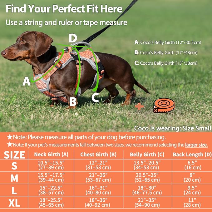 Escape Proof Dog Harness, Dachshund Harness, Reflective Dog Harness with Handle, Durable,Adjustable Vest for Small Medium Large Dogs Walking, Training, and Running Gear (Orange,L) - Image 6