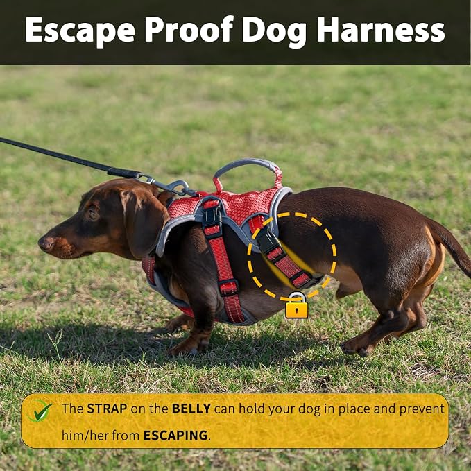 Escape Proof Dog Harness, Dachshund Harness, Reflective Dog Harness with Handle, Durable,Adjustable Vest for Small Medium Large Dogs Walking, Training, and Running Gear (Red,S) - Image 2