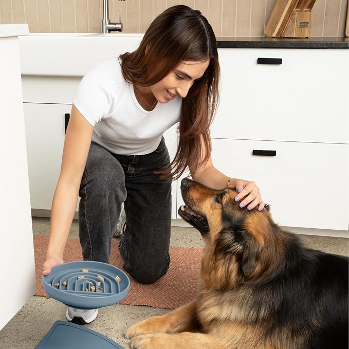 Should We Go? Slow Feeder Dog Bowls - Large Size Silicone Slow Eating Dog Bowl for Puppies & Dogs with Suction Cup -Dishwasher-Safe, Lick Mat Design, Reduces Gulping,for All Breeds,9.5”x1.5”- Ocean - Image 8