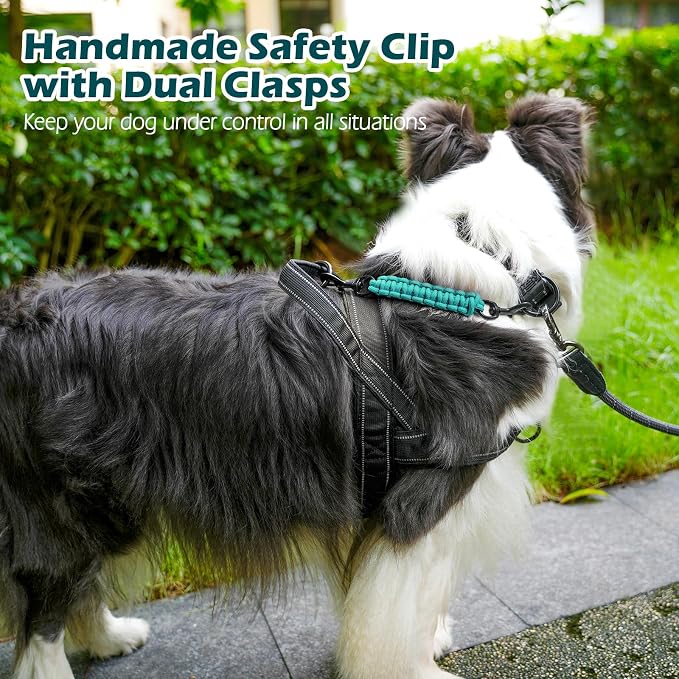 PetBonus Dog Collar Safety Clip, Handmade Prong Collar to Harness Connector | Dog Leash Backup Safety Strap, Escape Proof, Double Ended Clasp, Lead Connector for Pinch Collar, Harness (Turquoise) - Image 4