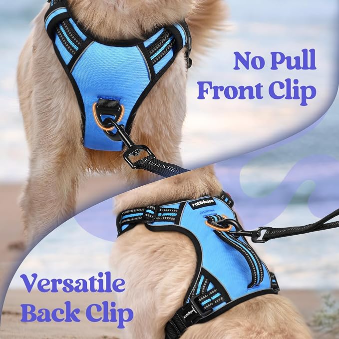 rabbitgoo Large Dog Harness, Easy Wear with 3 Buckles and Lift Handle | No Pull with Front Clip for Walking, Adjustable Soft Padded, Reflective, Easy Control, Light Blue, X-Large - Image 6