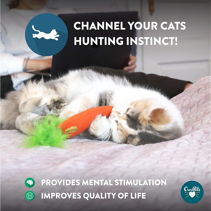 OurPet's 100-Percent North American Catnip Filled Carrot Cat Toy 24 Karat (Pack of 2) - Image 5