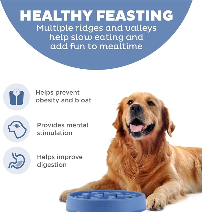 Outward Hound Fun Feeder Slo Bowl – Large 4‑Cup Capacity, Slow Feeding, Medium to Large Dogs, Non‑Slip, Blue, Notch Pattern | Slows Fast Eaters, Can Aid Digestion, Holds 4 Cups Dry or Wet Food, Non-Slip Base, Easy Clean, No BPA, Medium to Large Dogs - Image 2