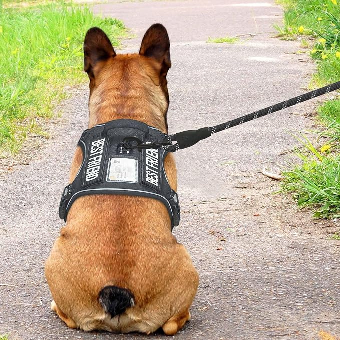 Beebiepet Heavy Duty Tactical Dog Harness for Small Dogs, No Pull Adjustable Pet Harness Reflective Service Training Easy Control Pet Vest Military K9 Working Dog Harnesses- Medium, Black - Image 3