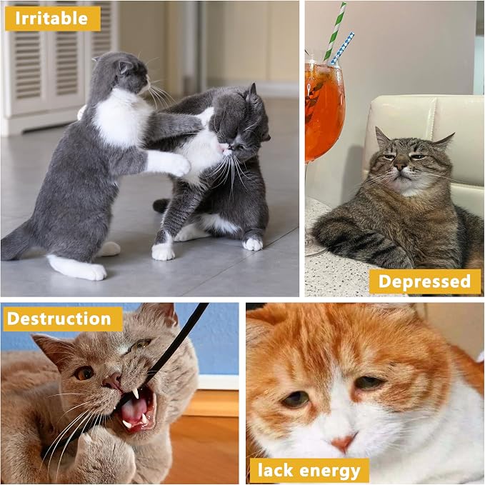 3 Pack Catnip Toys,Soft and Durable Cat Pillows Toys, Funny cat Toy | Rich Color Catnip toy, Cat toys for indoor cats, Indoor Interactive toy, cat kicker toy, Companion Toys for Cats (Pastel Set) - Image 5