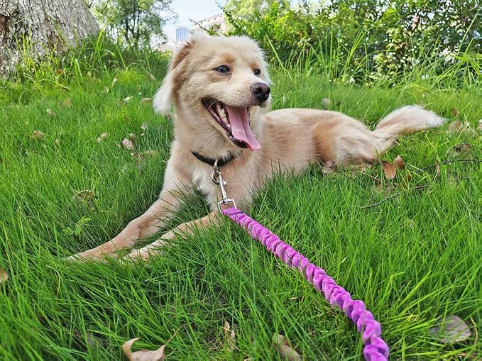 5FT Bungee Dog Leash Shock Absorbing Lightweight Small Medium Dogs | Reflective Nylon Lead- 2cm Wide- Soft Handle- Anti-Pull Training- 6 Colors - Image 7
