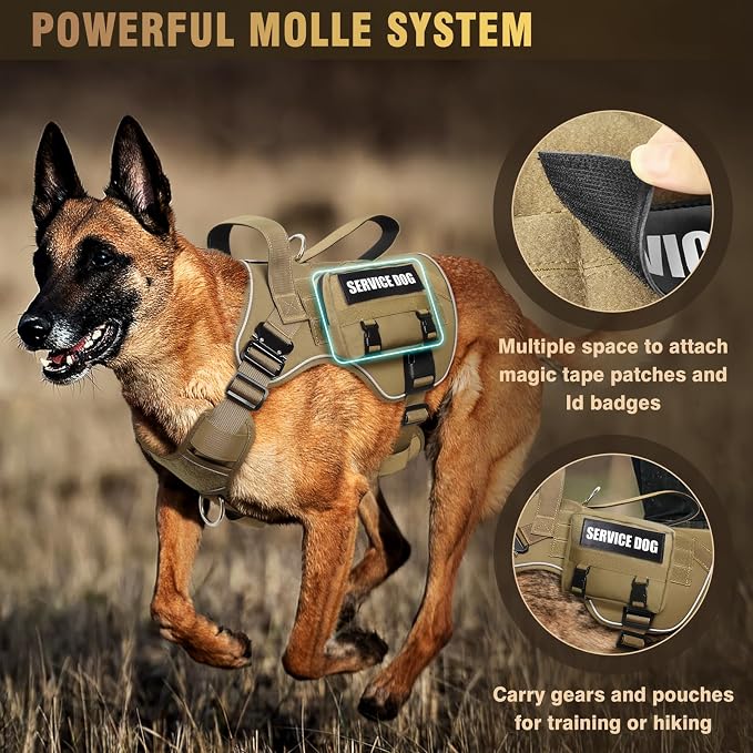 2X Metal Buckle Service Working MOLLE Dog Vest with 10 Pet Patches | Tactical Dog Harness for Medium Dog, No-pull Military Working Vest for Training Hunting Walking，2x D Rings for Leash Clip - Image 8