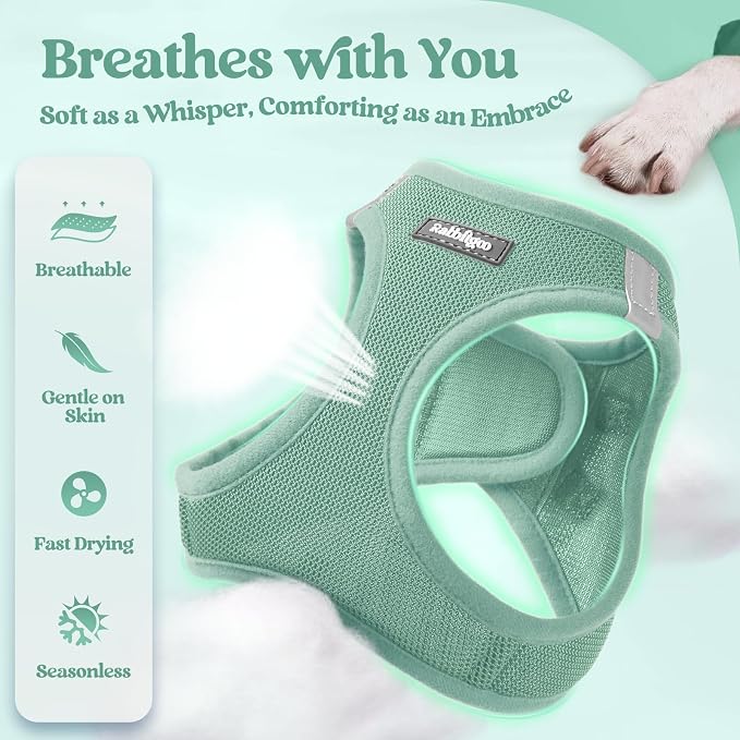 rabbitgoo Dog Harness Small Sized and Leash Set, Step-in Puppy Pet Vest | Light, Soft, Breathable Air Mesh, Easy on and Remove with Hook & Loop, Secure Reflective for Walking, Moss Green S - Image 4