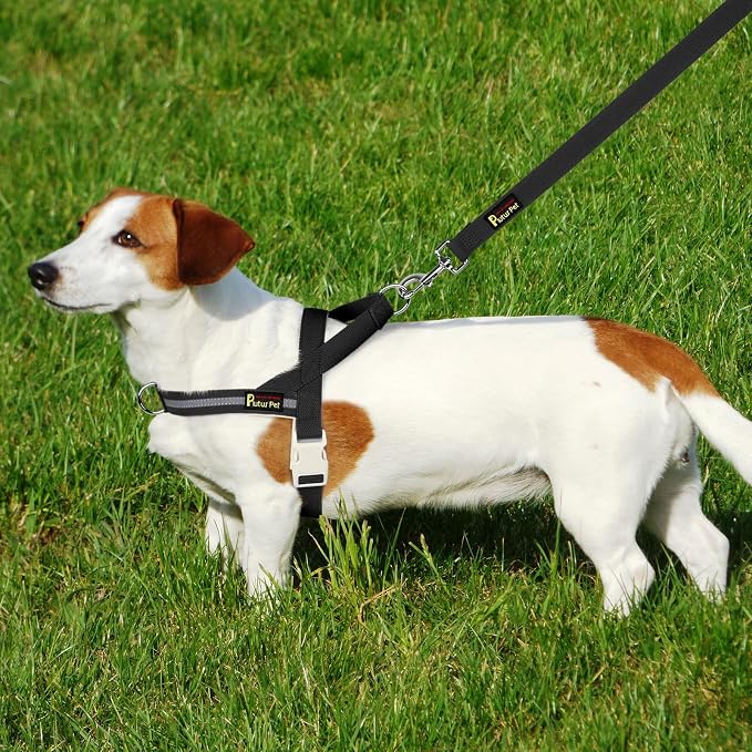 Plutus Pet Cotton Dog Harness and Leash Set, Reflective and Soft Padded, Quick Fit Vest Harness, for Small, Medium and Large Dogs, Black, XXS - Image 6