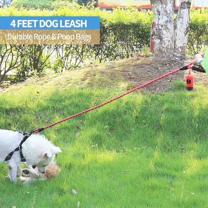 2/4/5/6 FT Dog Leash with Comfortable Padded Handle and Highly Reflective Threads for Small Medium and Large Dogs (4FT-1/2'', Red) - Image 5