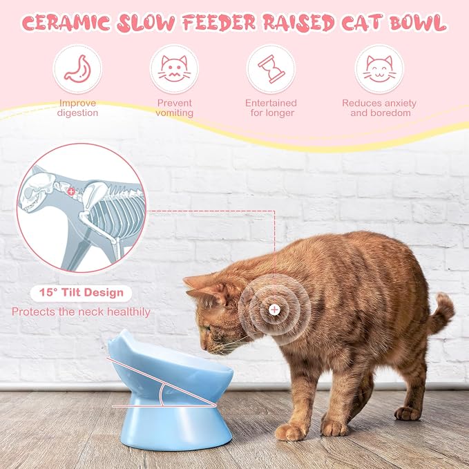 Funnymoom 2 Pcs Ceramic Raised Slow Feeder Cat Bowl, 5.91inch Elevated Cat Slow Feeder Bowl Tilted Anti Vomiting for Dry Wet Food and Water Easy to Clean High Edge(Pink, Blue) - Image 4
