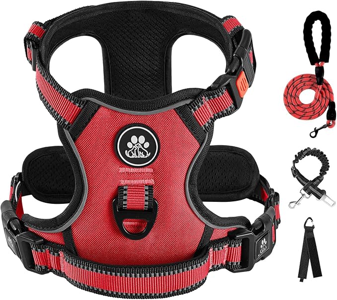 IVY&LANE No Pull Dog Harness for Small Dogs, Dog Vest Harness with Leash, Safety Belt and Storage Strap, Fully Adjustable, 360° Reflective Strip, Soft Handle (Red, S) by IVYLANE