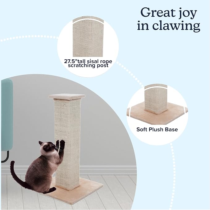Cat Scratching Post with Carpeted Base - 27.75-Inch Sisal Burlap Fabric Scratcher - Furniture Scratching Deterrent for Indoor Cats by PETMAKER (Beige) - Image 2