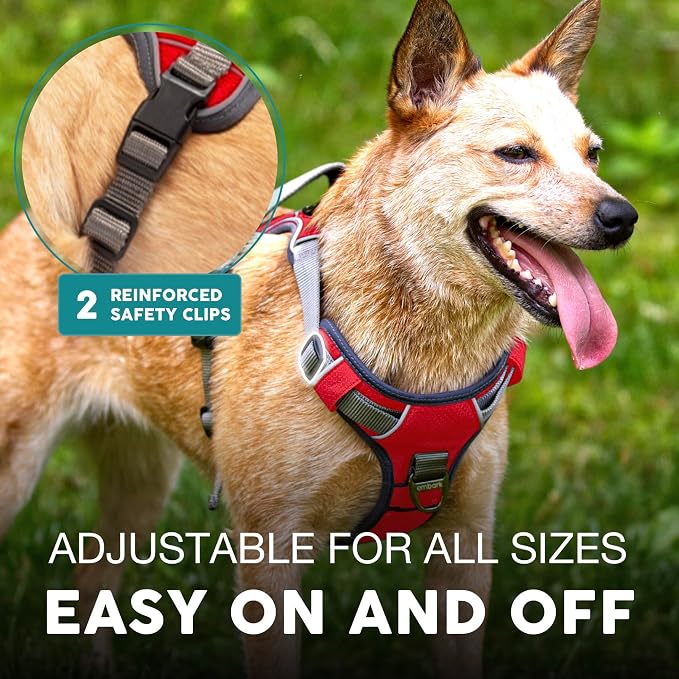 Embark No Pull Dog Harness, Reflective Adjustable Training Vest, No Choke | Adjustable straps fit all dog breeds with sturdy hooks; 360° reflective trim, soft padded Harness Design for All Dogs - Image 5