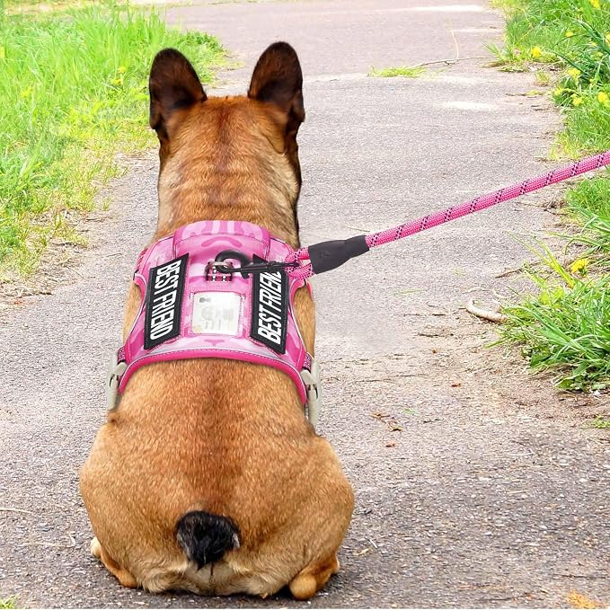 Beebiepet Heavy Duty Tactical Dog Harness for Small Dogs, No Pull Adjustable Pet Harness Reflective Service Training Easy Control Pet Vest Military K9 Working Dog Harnesses- Small, Pink Camo - Image 3