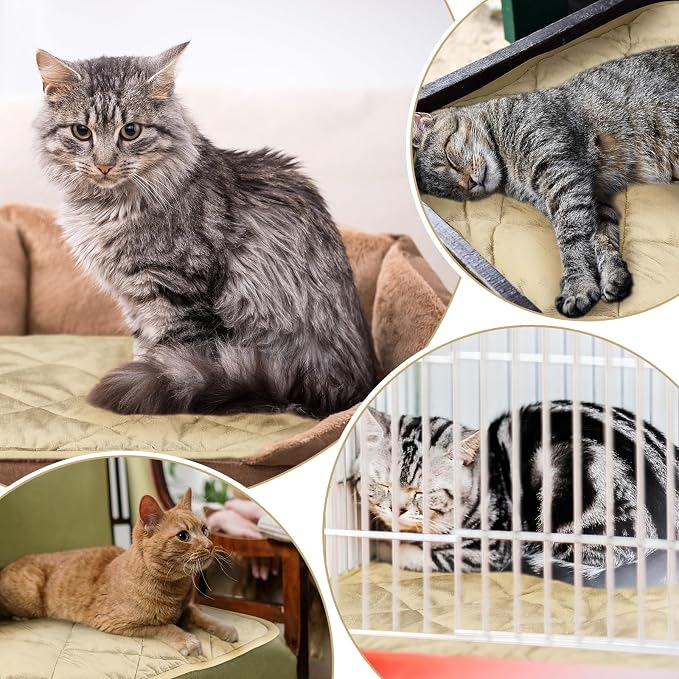 4 Pack Self Heating Cat Pad Self Warming Dog Mat Reflects Body Heat Extra Warm Thermal Pet Pad Washable Dog Cat Bed Crate Bed Mat Blanket(Beige,16 x 20 Inch) - Image 5