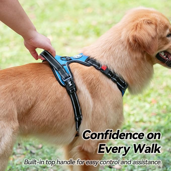 PoyPet No Pull Dog Harness Small with Front Clip & Neck Release Buckle | No Choke, Adjustable Vest, Reflective, Back Clip, Lockable, Soft Padded, Easy Control Handle for Walking Training, XS, Blue - Image 6