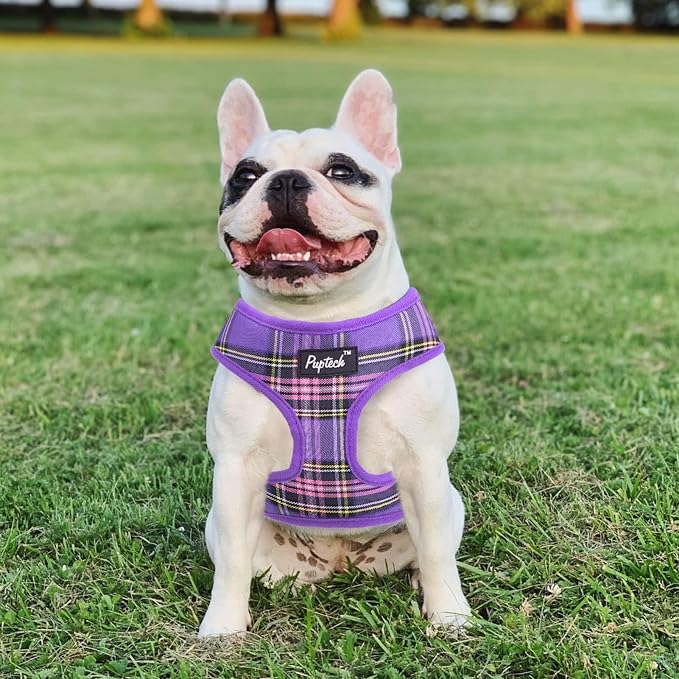 PUPTECK Small Dog Harness and Leash Set No Pull for XS XXS Sized Dogs Puppy | Escape Proof No Choke Pet Cat Adjustable Soft Padded Walking Vest - Image 7