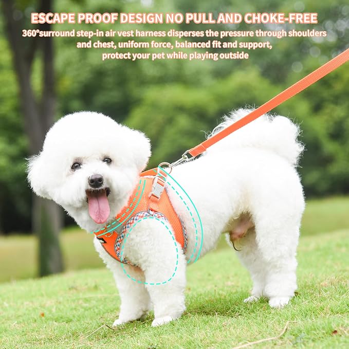 Small Dog Harness and Leash Set with Strong Magic Tape, Orange XS | No Pull Step-in Vest for Puppy, Breathable Mesh, Reflective & Escape-Proof Design, Outdoor Use for Chihuahua, Maltese - Image 6