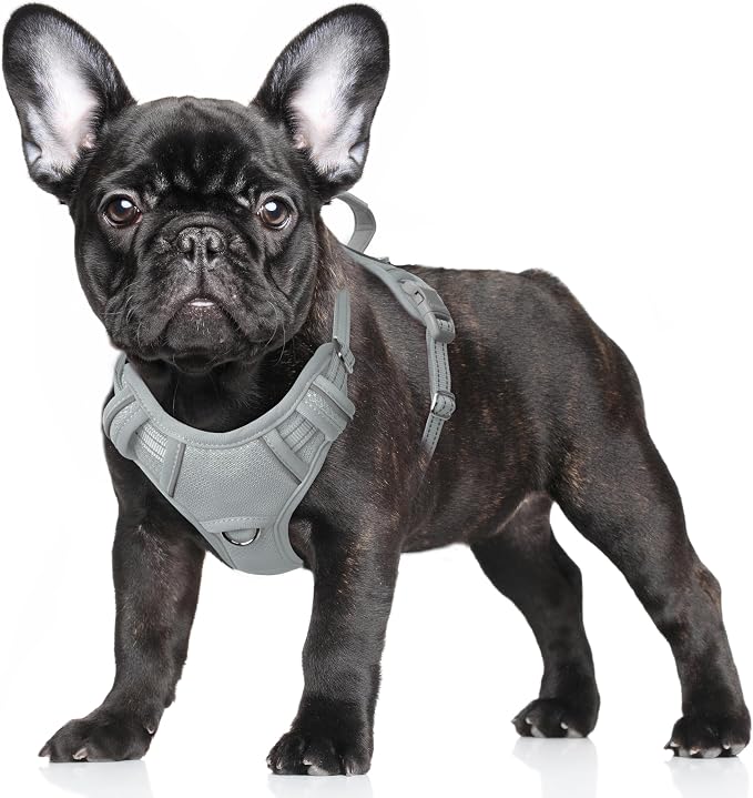 BARKBAY No Pull Dog Harness Large Reflective Dog Harness with Front Clip and Easy Control Handle for Walking Training Running with ID tag Pocket(Grey,S) by BARKBAY