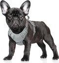 BARKBAY No Pull Dog Harness Large Reflective Dog Harness with Front Clip and Easy Control Handle for Walking Training Running with ID tag Pocket(Grey,S) by BARKBAY