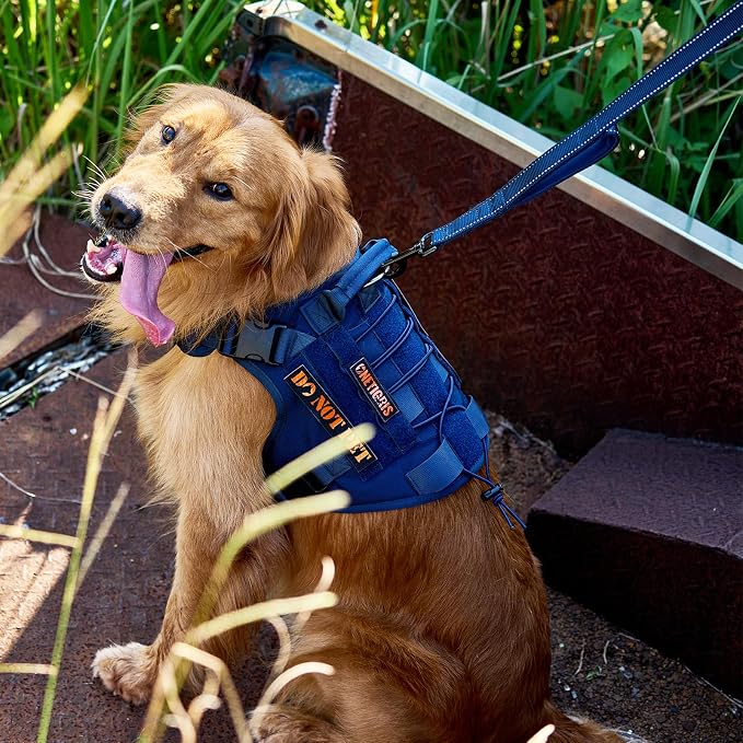 OneTigris No-Pull Dog Leash with Handle for Medium Large Dogs (Blue, 6FT) | Durable lead built for training & daily walks. Ideal drag line for strong pullers and large breeds like bully dogs. - Image 8
