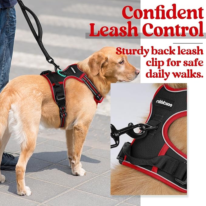 rabbitgoo Dog Harness, No Pull for Large Dogs with 2 Leash Clips, Pet Vest | No Choke with Handle, Adjustable Soft Padded, Reflective, Easy Control for Walking, Black & Red, Large - Image 5