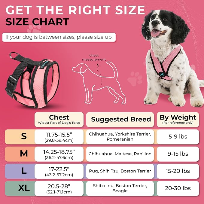 Gooby Comfort X Head-in Dog Harness, Choke-Free, Pink, Medium | Patented choke-free X-frame; Secure head-in fit; Lightweight breathable mesh; Back metal D-ring; Machine washable - Image 5