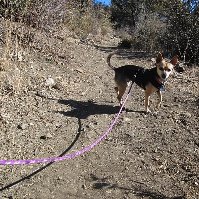 MayPaw Heavy Duty Rope Dog Leash, 6/8/10/15/20/30FT Long Nylon Pet Leash, Soft Padded Handle Thick Lead Leashes for Large Medium Dogs (Purple, 1/2" * 10') - Image 7