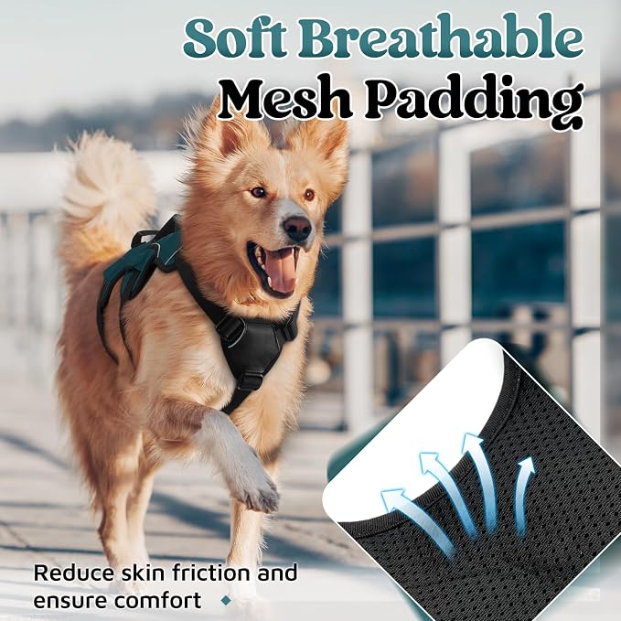 rabbitgoo Escape Proof Dog Harness for Medium, No Pull with Lift Handle | No Escape, Full Soft Padded, Reflective Adjustable Vest, Leash Clip for Walking Hiking Training, Dark Green, Medium - Image 8