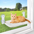 AMOSIJOY Cordless Cat Window Perch, Cat Hammock for Wall with 4 Strong Suction Cups, Solid Metal Frame and Reversible Cover, Foldable Cat Beds for Indoor Cats (Medium-White) by AMOSIJOY