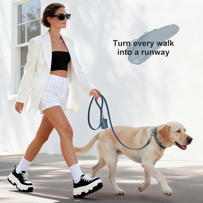 Didog Dog Poop Bag Holder for Leash, Stylish PU Leather, Blue | Easy Clean for Daily Walking, Quick to Install on Leash & Harness, Easy-Pull with Metal Clip, Includes 1 Roll Pet Waste Bag - Image 4