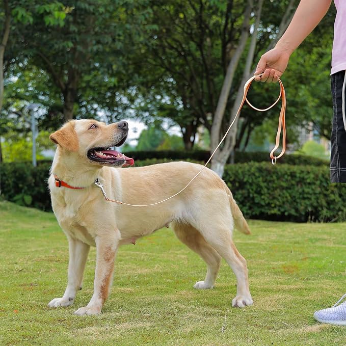 Waterproof Dog Leash, 5/6 FT Durable Odor-Proof Dog Leashes with Strong Metal Hooks Fits Small Medium or Large Dogs (Orange, 5FT - 3/4 inch Width) - Image 6