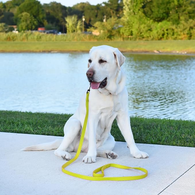 Dogline Biothane Waterproof Dog Leash Strong Coated Nylon Webbing with Black Hardware Odor-Proof Easy to Clean High Performance for Small or Large Dogs Made in USA 4 or 6 ft Lead, Safety Yellow - Image 5