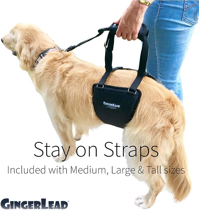 Dog Support Sling Rear Harness, Large Female, Machine Wash & Dry | Padded Rear Lift, Integrated Leash, Assist Senior K9s or Recovery from Knee/TPLO, Hip or Back Surgery, Made in U.S.A. - Image 6