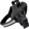 Joyride Basic Dog Harness 1.0 | Black Onyx | S | Adjustable pet vest with 3 side leash rings for training, walking and improved control for small, medium or large dogs by JoyrideHarness