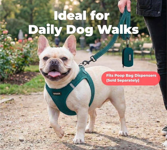 Best Pet Supplies Voyager Nylon Dog Leash - 6ft Blue, Large | 6ft in Length, 1" in Width, Reflective, Soft Neoprene Handle, Heavy Duty Metal Clips for Running, Walking & Training - Image 3