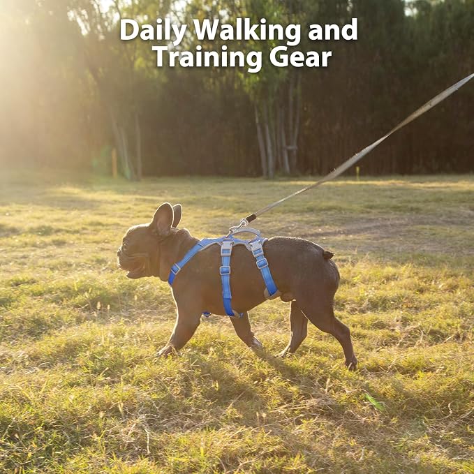 Escape Proof Dog Harness, Secure Dog Harness No Escape, Fully Reflective Harness with Handle,Breathable,Durable, Adjustable Vest for Small Dogs Walking, Training,and Running Gear (Sea Blue,S) - Image 7