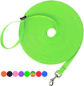 Hi Kiss Dog/Puppy Obedience Recall Training Agility Lead - 15ft 20ft 30ft 50ft 100ft Training Leash - Great for Training, Play, Camping, or Backyard (15 Feet, Green) by HiKiss