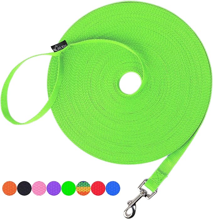 Hi Kiss Dog/Puppy Obedience Recall Training Agility Lead - 15ft 20ft 30ft 50ft 100ft Training Leash - Great for Training, Play, Camping, or Backyard (15 Feet, Green) by HiKiss
