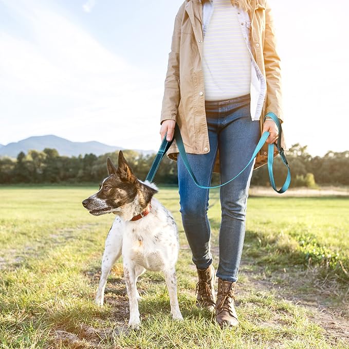 Twoear 6FT 1IN Heavy Duty Dog Leash for Large Dogs with 2 Padded Handles | Traffic Handle Extra Control, Auto Lock Hook, Strong Reflective Walking Leash for Night Safety, Medium and Large Breeds,Blue - Image 8