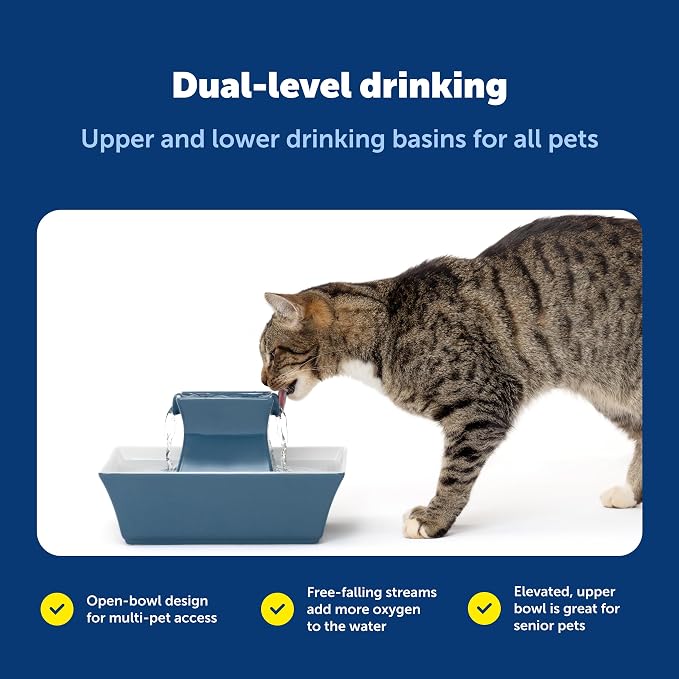 PetSafe Cat and Dog Water Fountain - Automatic Water Dispenser - Drinkwell Pagoda Ceramic Fountain for Pets - Filter Included - Blue - 70 oz, Model:PWW00-14898 | 2 Falling Water Streams Encourage Hydration, Cat & Small Dog Water Fountain, Carbon Filter... - Image 8