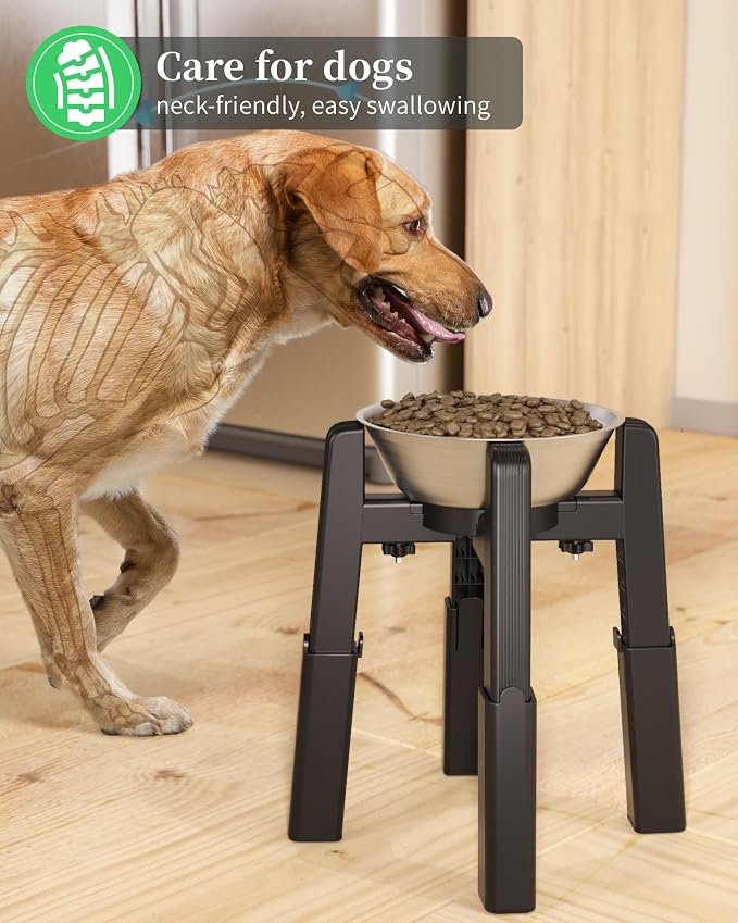 Elevated Dog Bowl, Raised Dog Bowl Stand with Stainless Steel Bowl | Elevated Pet Water & Food Bowl for Medium Dogs, Stable and Anti-Slip Raised Bowl - Image 7