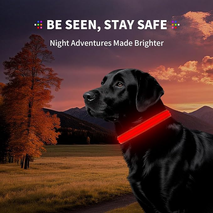 Light Up Dog Collar for Night Walking, Reflective LED Collar(Red, Large) | Bright Safety Glow in the Dark, Adjustable Comfort Fit, Waterproof, Long Runtime, Easy USB-C Charging - Image 5