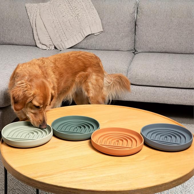 Should We Go? Slow Feeder Dog Bowls - Large Size Silicone Slow Eating Dog Bowl for Puppies & Dogs with Suction Cup -Dishwasher-Safe, Lick Mat Design, Reduces Gulping,for All Breeds,9.5”x1.5”- Sage - Image 7