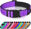 Joytale Reflective Dog Collar, Adjustable Neoprene Padded, Purple XS | Breathable Nylon for Puppies and Small Breeds, No Chafing on Walks and Indoor Training, Light Metal D-Ring, Night Safety by Joytale