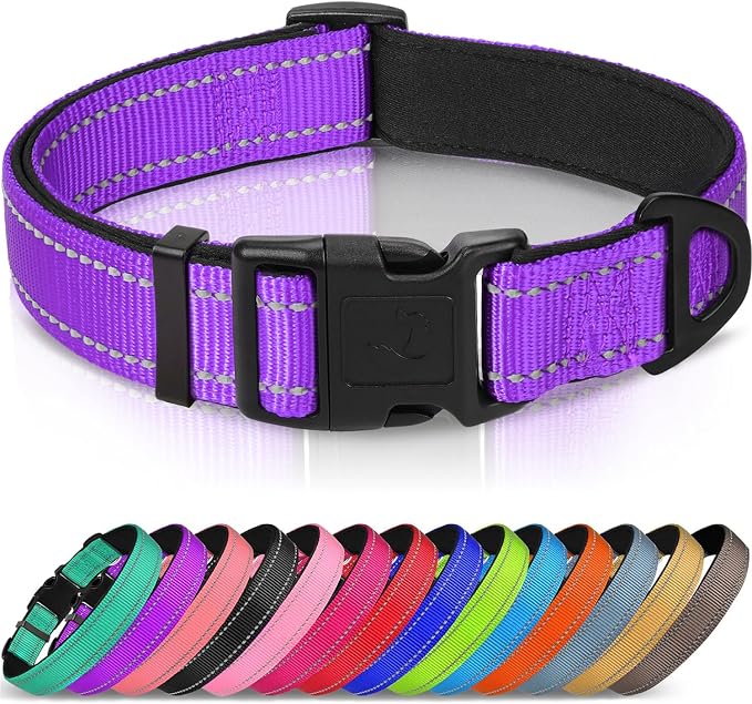 Joytale Reflective Dog Collar, Adjustable Neoprene Padded, Purple S | Breathable Nylon for Small Dogs, No Chafing on Daily Walks and Training, Gentle on Neck, Secure Metal D-Ring, Night Safety by Joytale